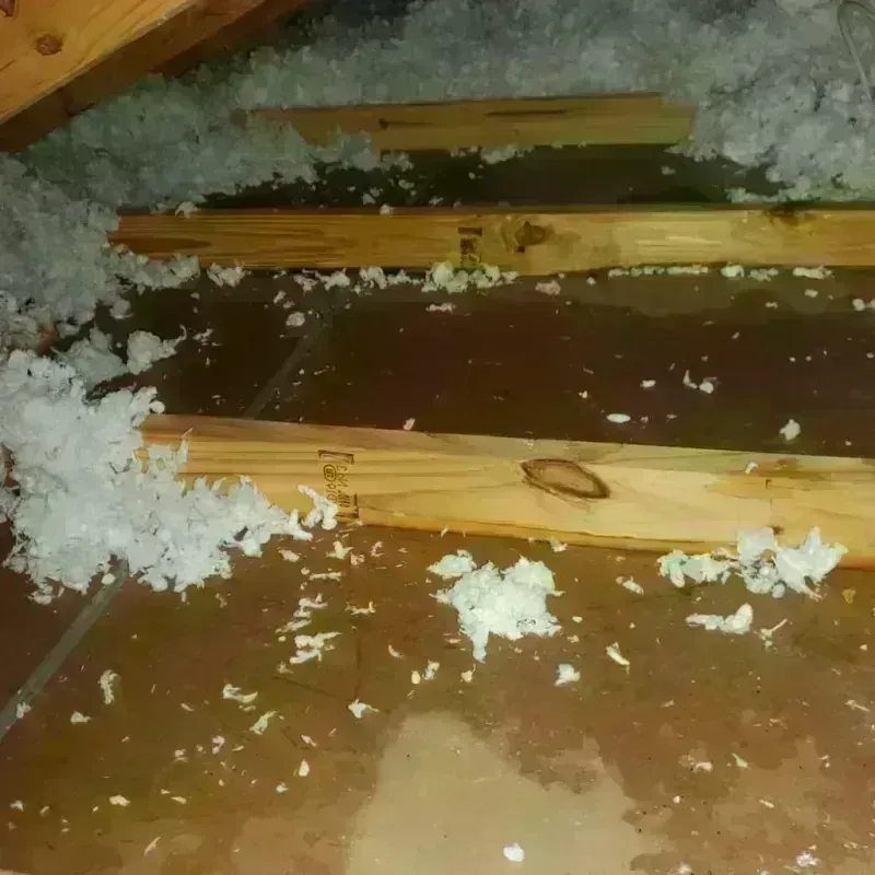 Attic Water Damage in Chatsworth, GA