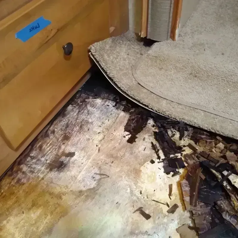 Wood Floor Water Damage in Chatsworth, GA